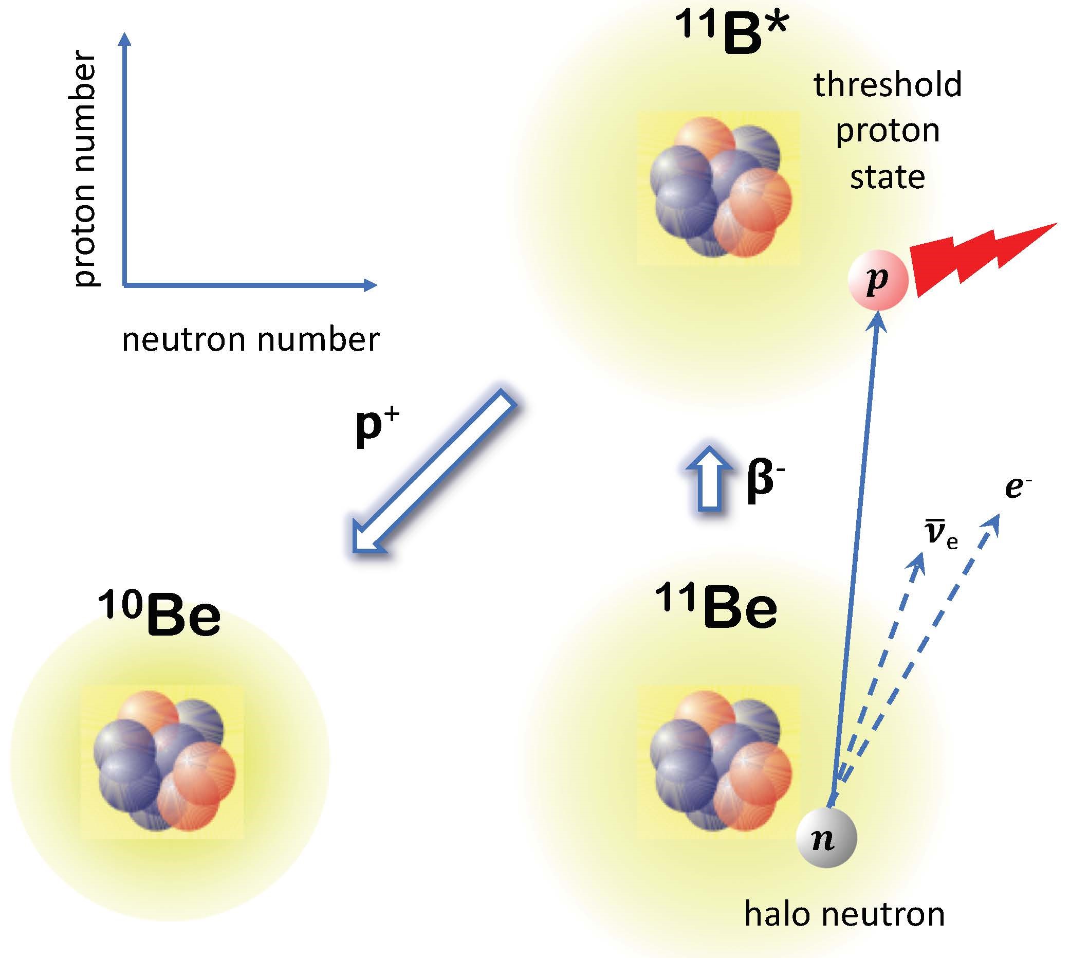 neutron beta decay