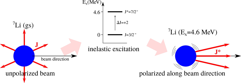 polarization